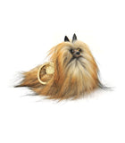 Dog with Safety Amulet Bag Charm